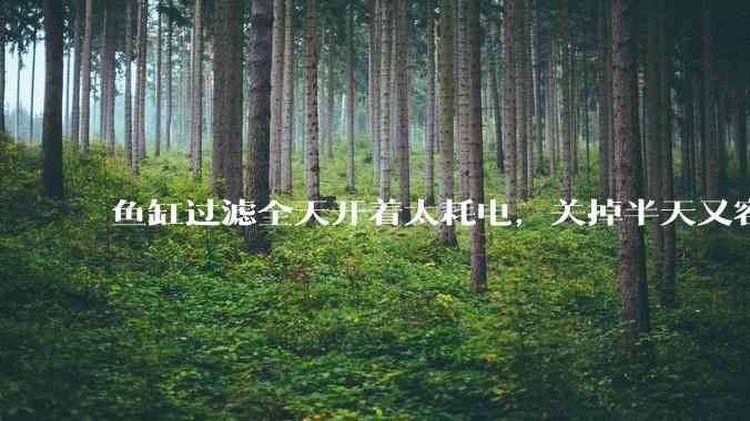 鱼缸过滤全天开着太耗电，关掉半天又容易水浑，有什么好办法？