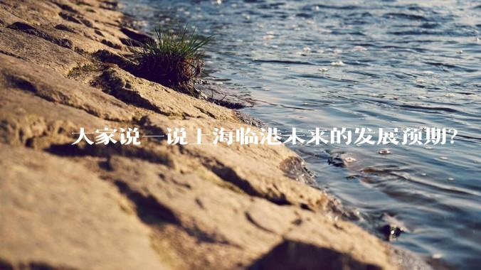 大家说一说上海临港未来的发展预期？