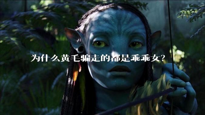 为什么黄毛骗走的都是乖乖女？