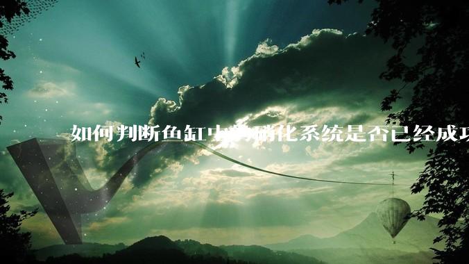如何判断鱼缸中的硝化系统是否已经成功建立？