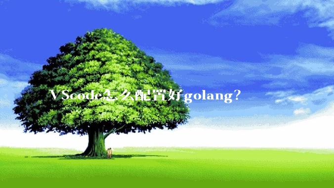 VScode怎么配置好golang？