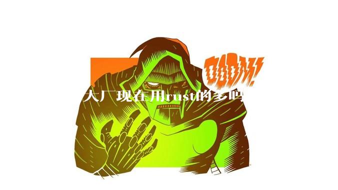 国内大厂现在用rust的多吗？